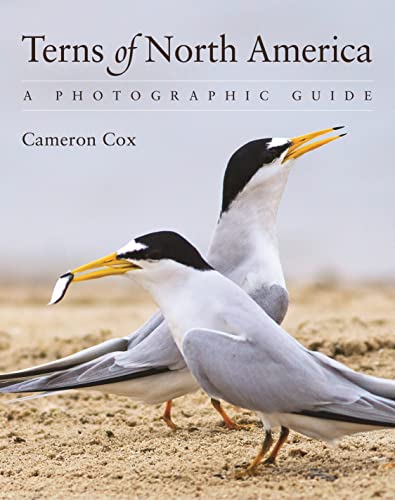 Terns of North America: A Photographic Guide von Princeton University Press
